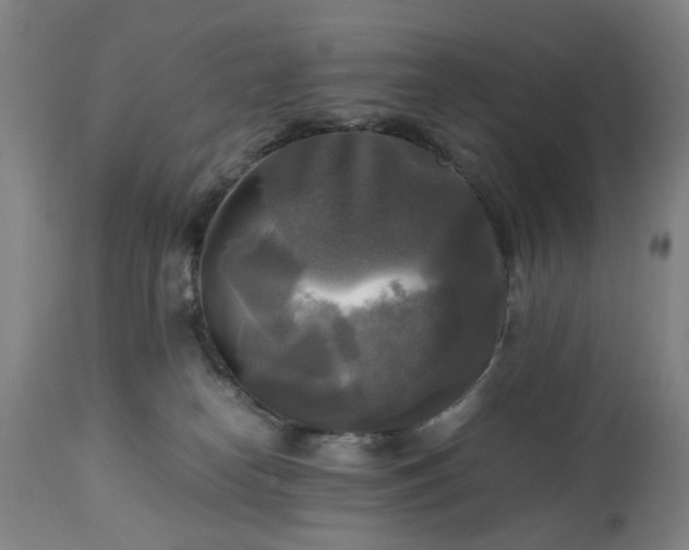 X0000113250182200909241620