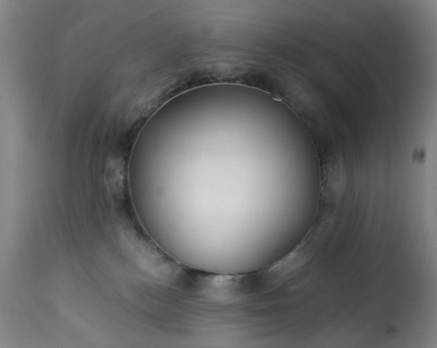 X0000113250184200909241620