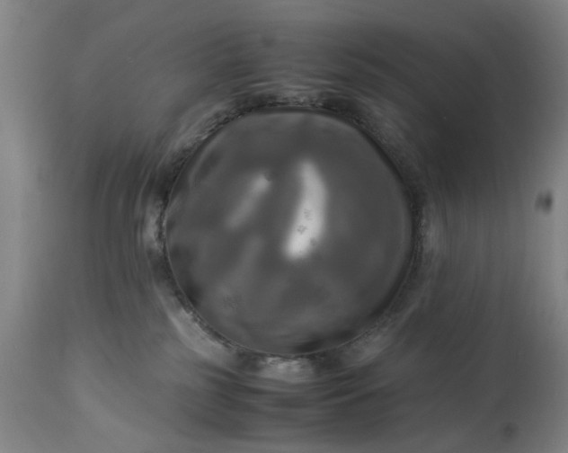 X0000113250185200909241620