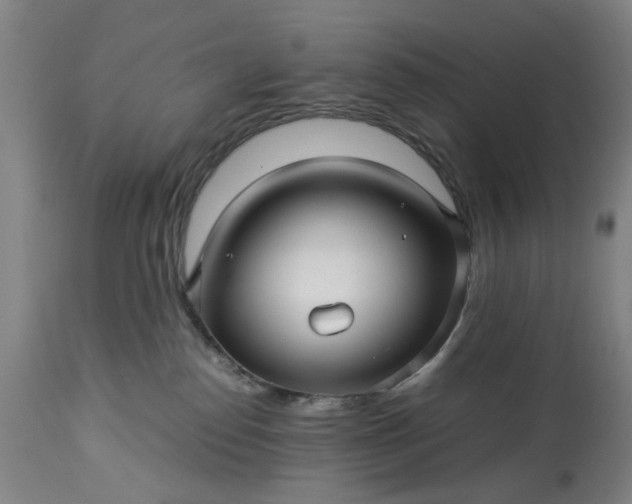 X0000113250186200909241620