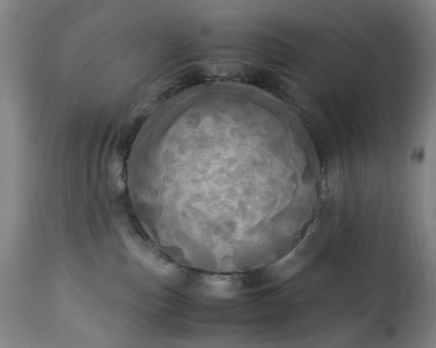 X0000113250187200909241620