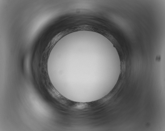 X0000113250189200909241620