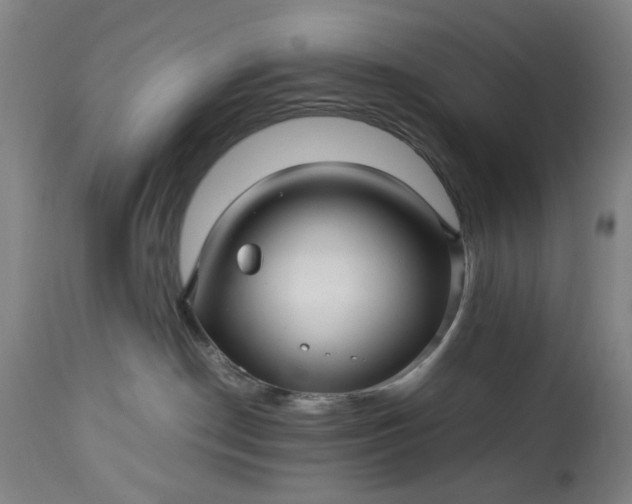 X0000113250190200909241620