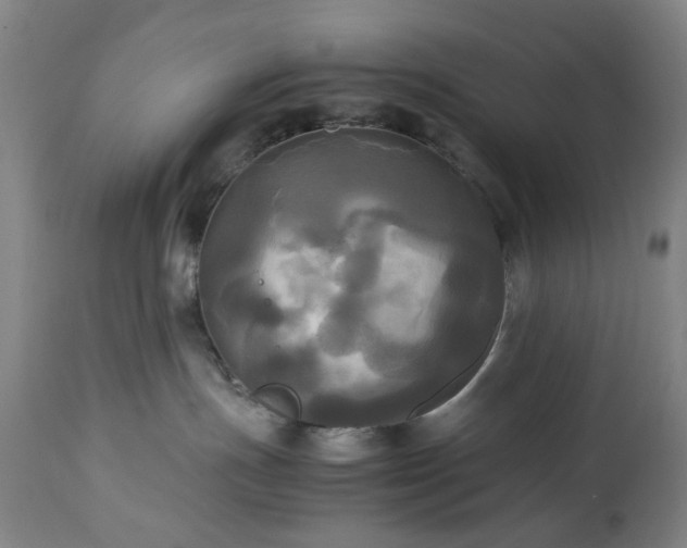 X0000113250191200909241620