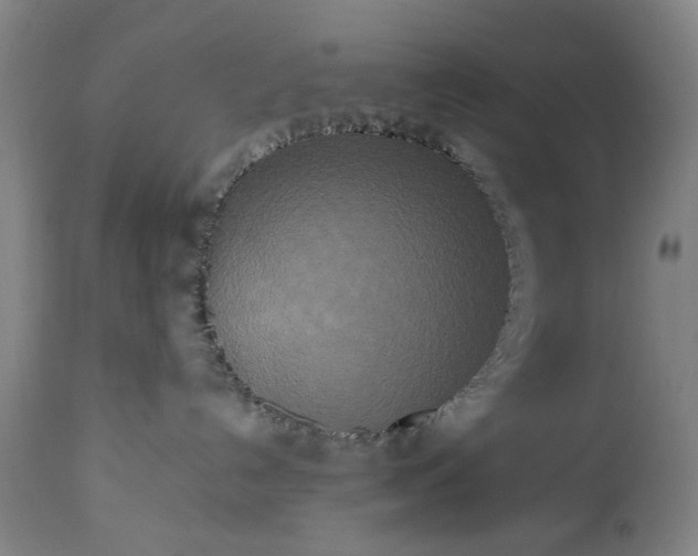 X0000113250192200909241620