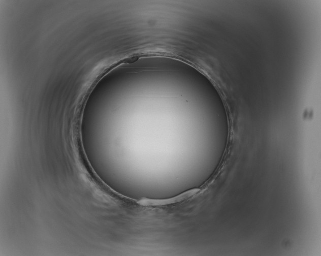 X0000113250193200909241619