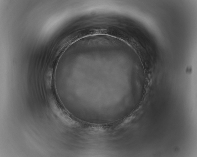 X0000113250194200909241619