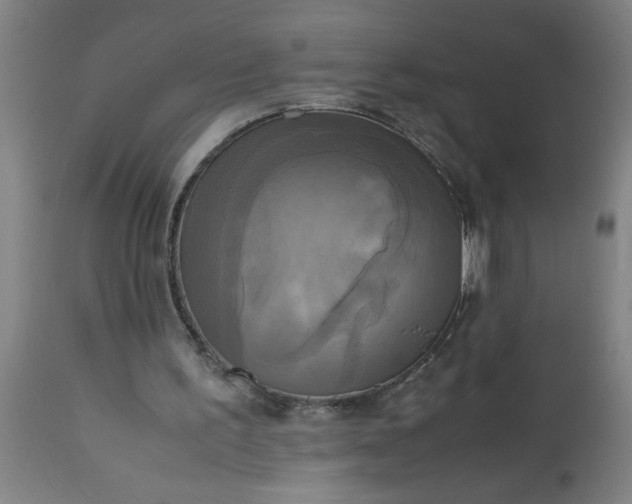 X0000113250195200909241619