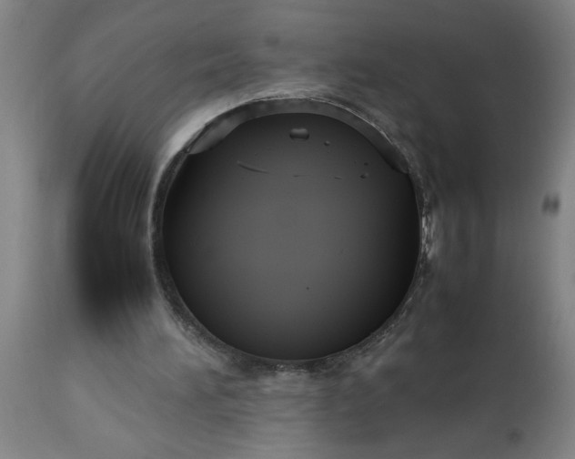 X0000113250196200909241619