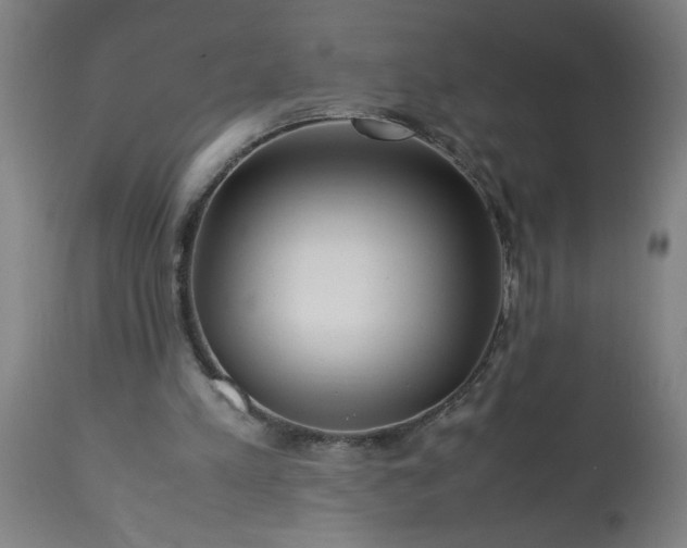 X0000113250197200909241619