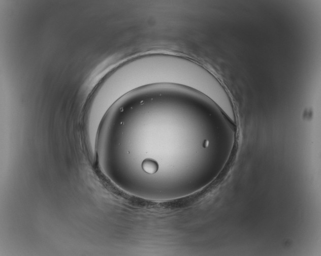 X0000113250199200909241619