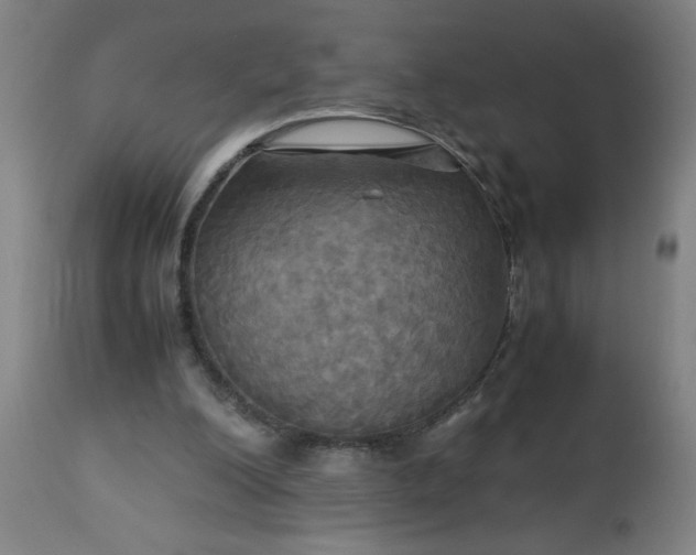 X0000113250200200909241619