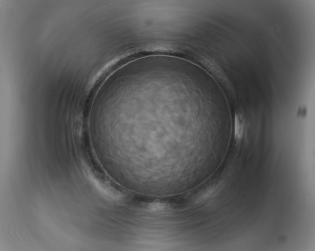 X0000113250204200909241619