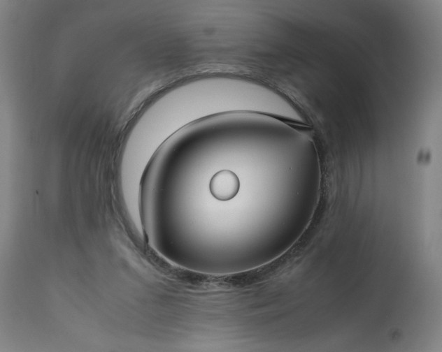 X0000113250207200909241619