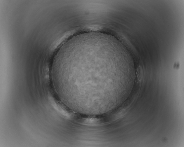 X0000113250212200909241619