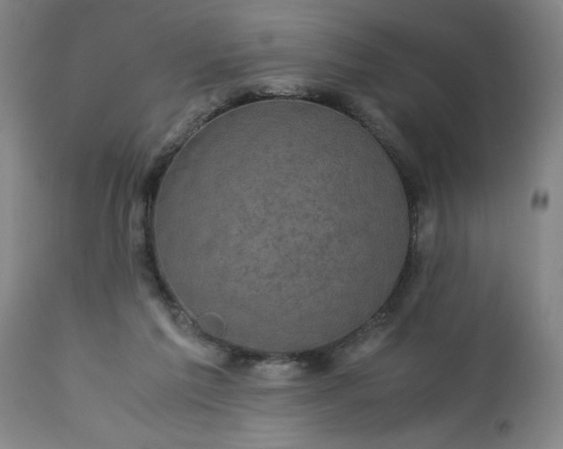 X0000113250213200909241619