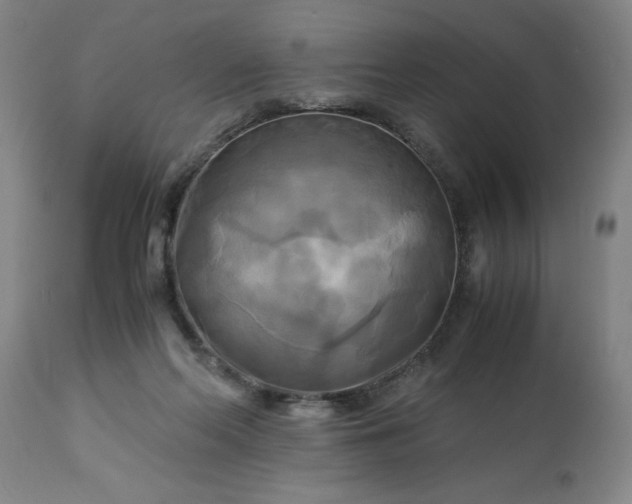 X0000113250214200909241619