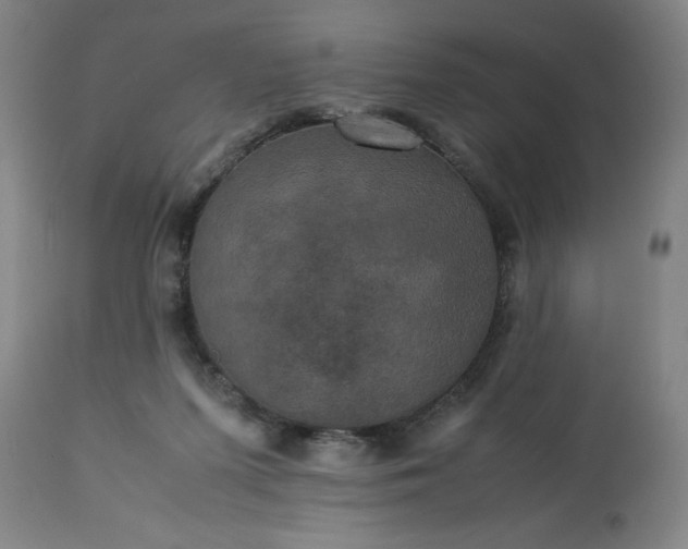 X0000113250215200909241619