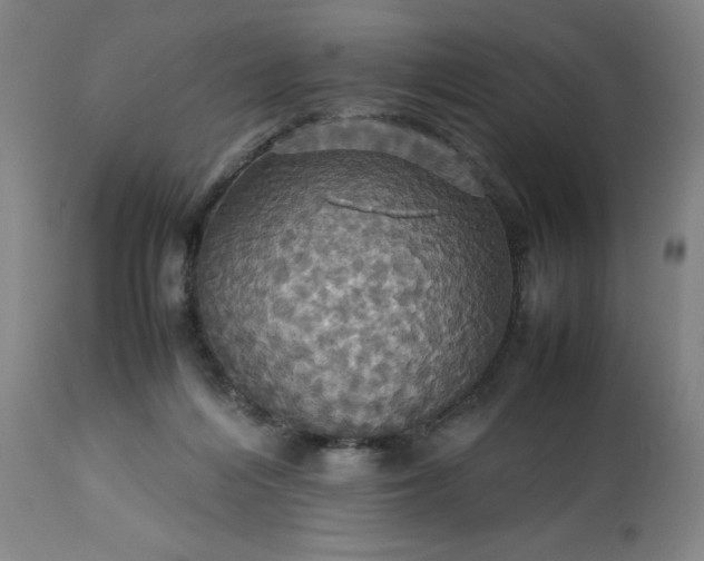 X0000113250216200909241619