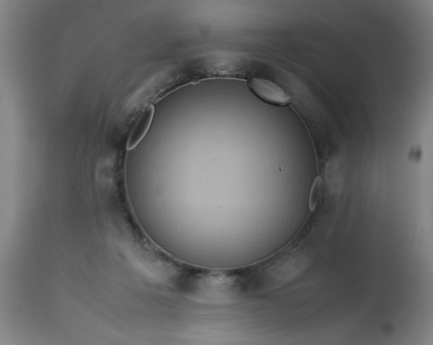 X0000113250217200909241619