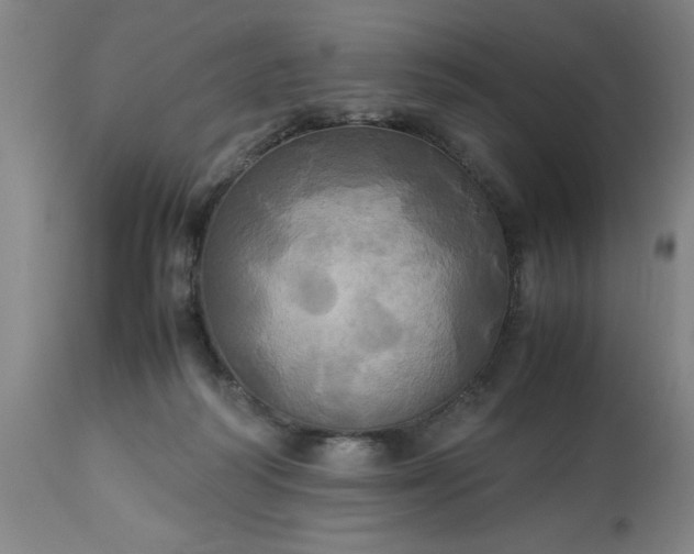 X0000113250218200909241619