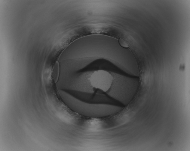 X0000113250219200909241619