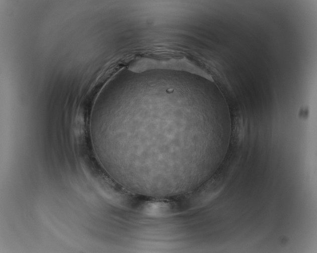 X0000113250220200909241619