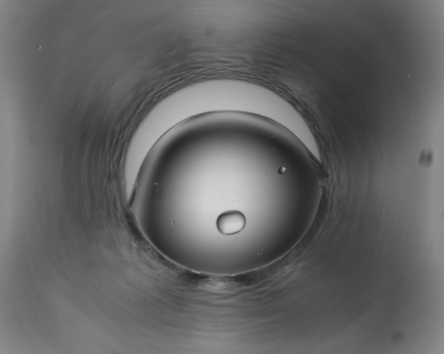 X0000113250221200909241619