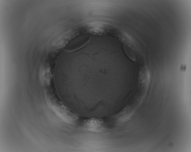 X0000113250223200909241619