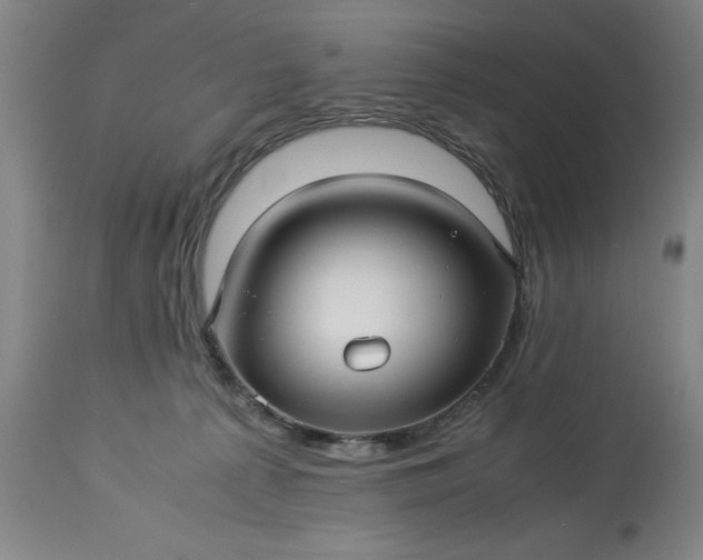 X0000113250225200909241619