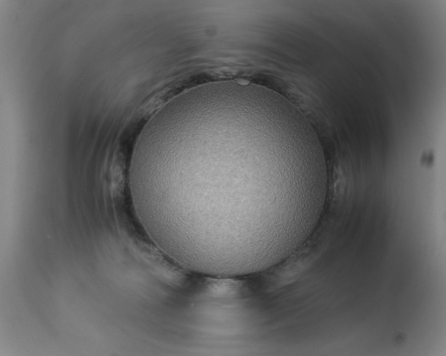 X0000113250226200909241619