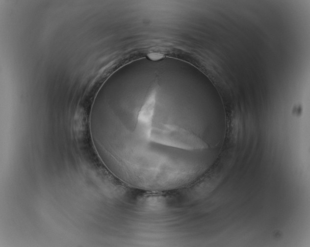 X0000113250228200909241619