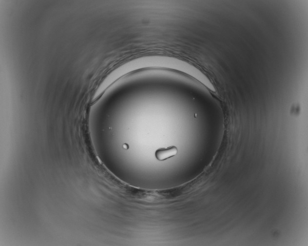 X0000113250229200909241619