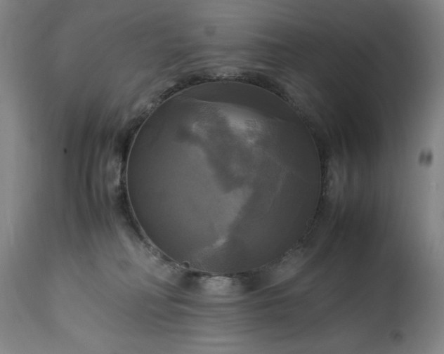 X0000113250230200909241619