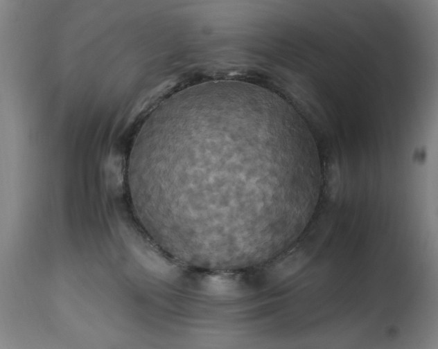 X0000113250232200909241619