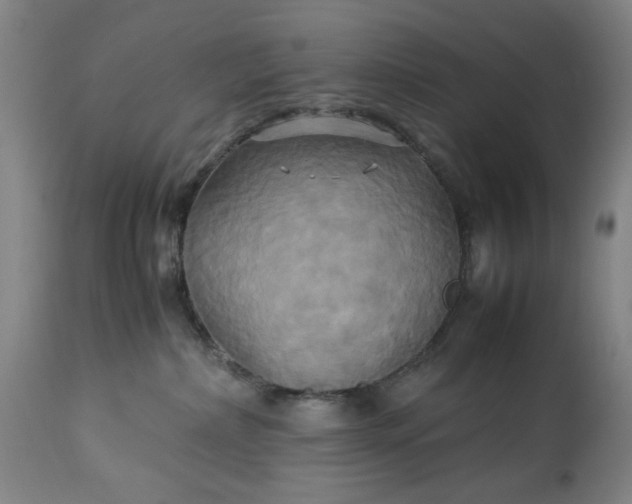 X0000113250236200909241619