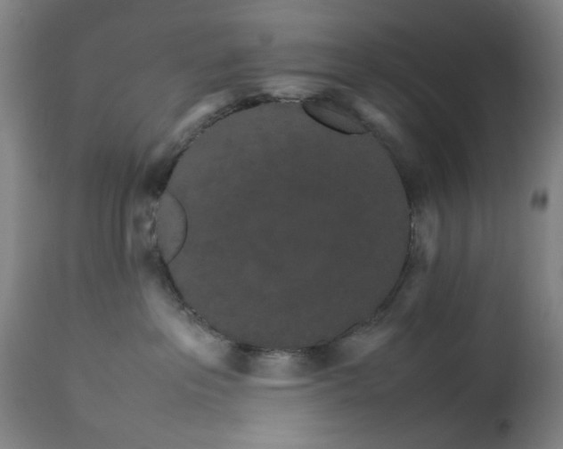 X0000113250237200909241619