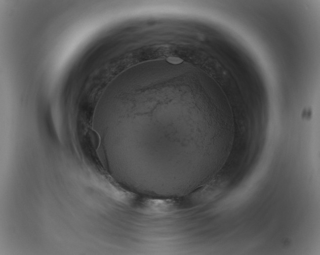 X0000113250239200909241619