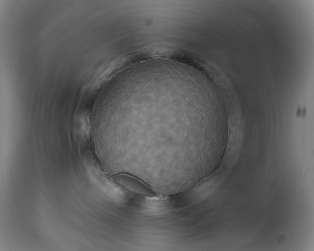 X0000113250240200909241619