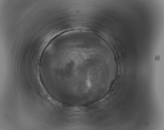 X0000113250241200909241618