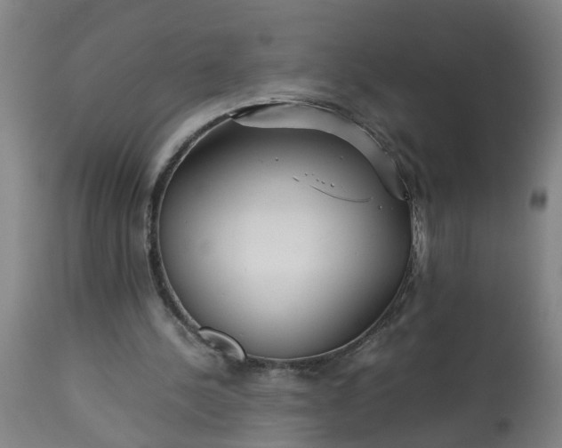 X0000113250244200909241618