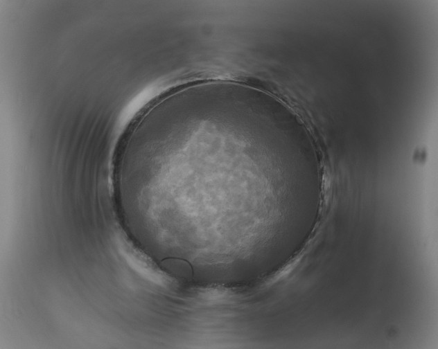 X0000113250246200909241618