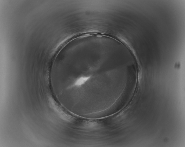 X0000113250249200909241618