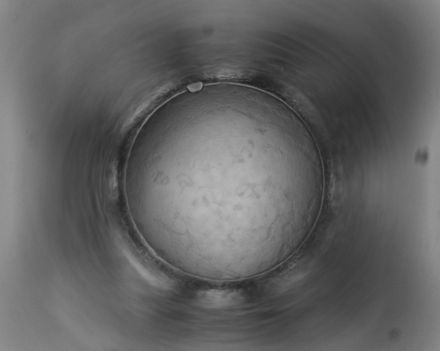 X0000113250251200909241618