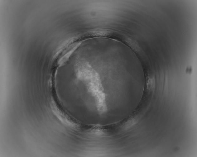 X0000113250254200909241618