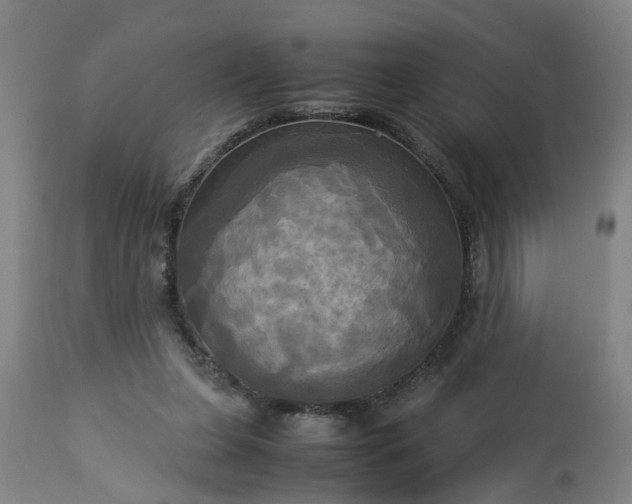 X0000113250255200909241618