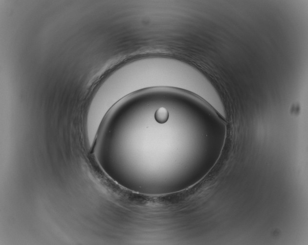 X0000113250256200909241618