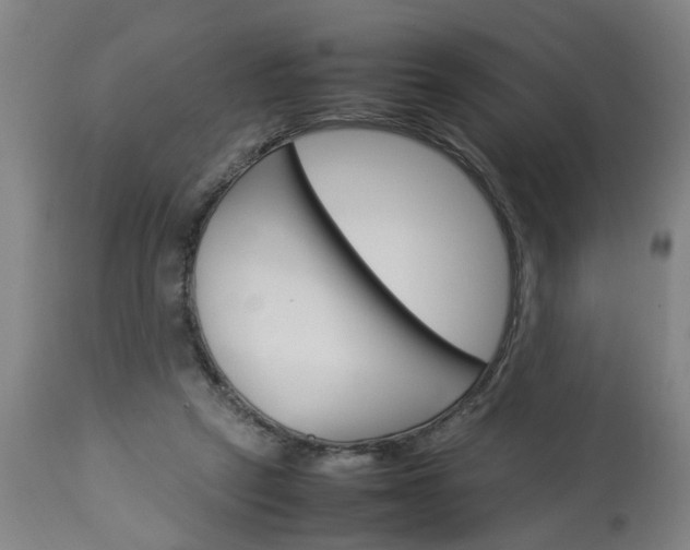 X0000113250257200909241618