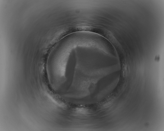 X0000113250259200909241618