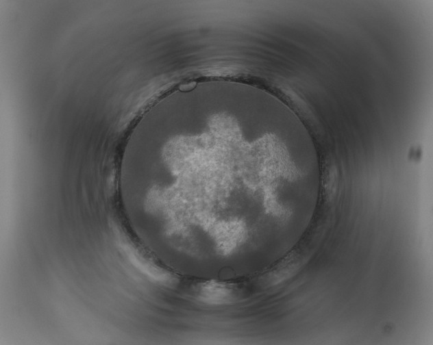 X0000113250261200909241618